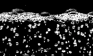official Catalog GIF (1-bit still: screen-2-still.webp)