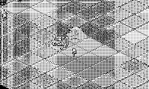 official Catalog GIF (1-bit still: screen-3-still.webp)