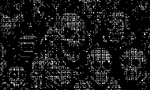 official Catalog GIF (1-bit still: screen-5-still.webp)